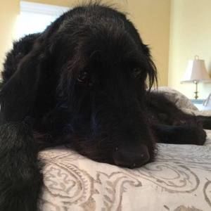 Meet your Posher, Kathy